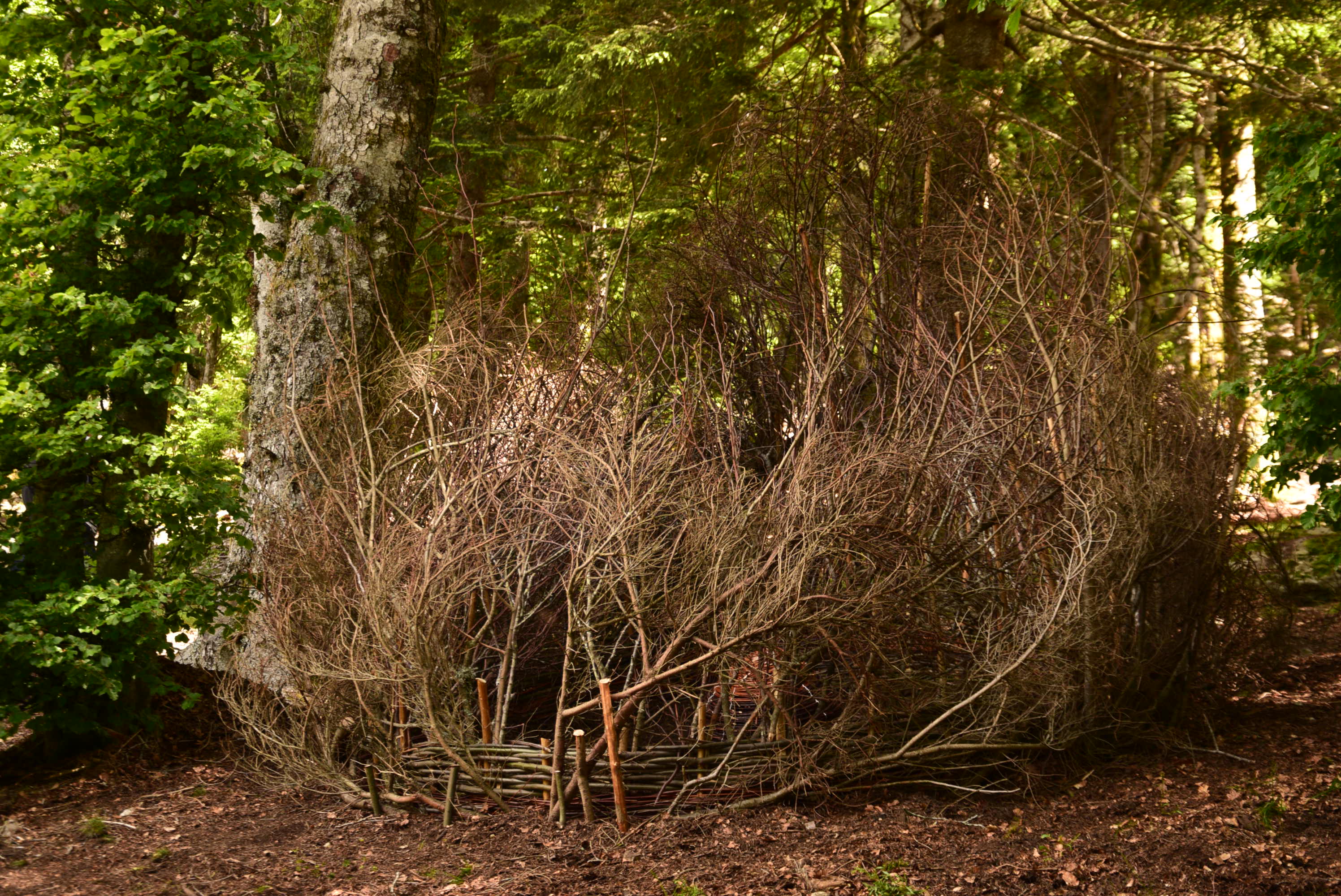 oeuvre In Situ, land art sur les balcons de l'Aigoual