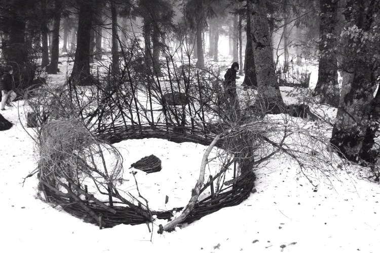 oeuvre In situ, Land Art sur les balcons de l'Aigoual